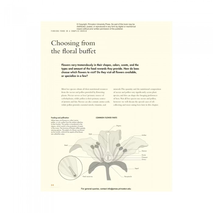 Knyga "The Lives of Bees: A Natural History of Our Planet's Bee Life"