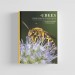 Knyga "The Lives of Bees: A Natural History of Our Planet's Bee Life"