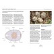 Knyga  "The Pocket Book of BIRD ANATOMY"