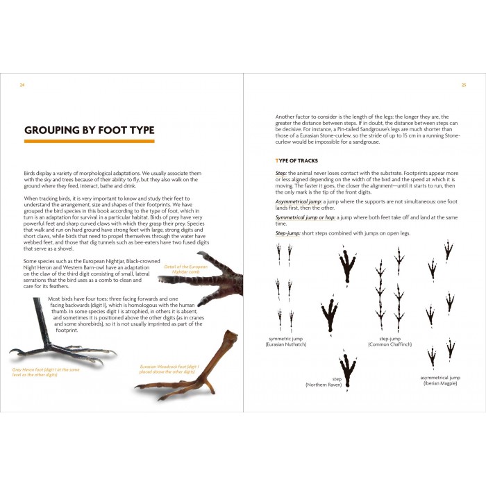 Knyga "Birds That Leave Their Mark" Tracks and Signs of Birds in South-west Europe