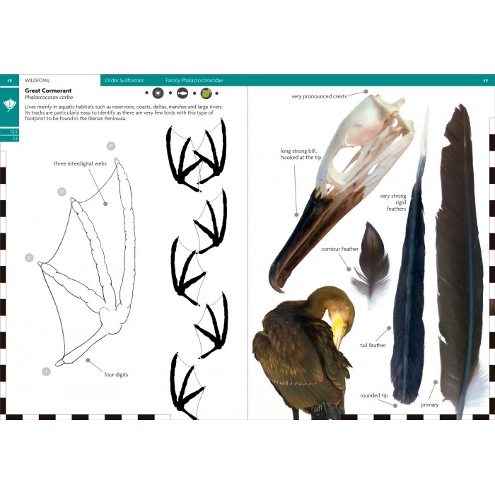 Knyga "Birds That Leave Their Mark" Tracks and Signs of Birds in South-west Europe