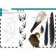Knyga "Birds That Leave Their Mark" Tracks and Signs of Birds in South-west Europe