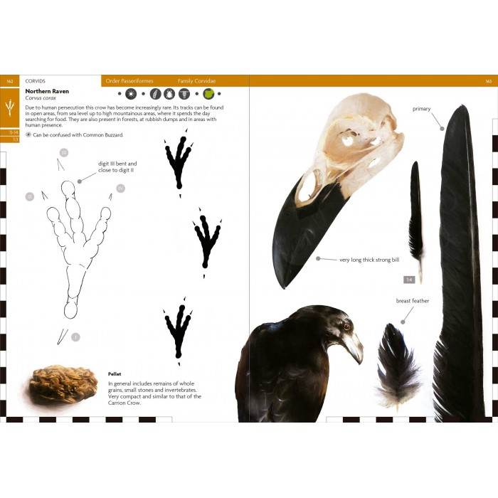 Knyga "Birds That Leave Their Mark" Tracks and Signs of Birds in South-west Europe