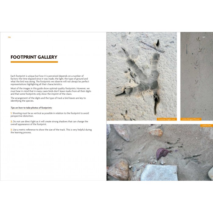 Knyga "Birds That Leave Their Mark" Tracks and Signs of Birds in South-west Europe