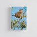 Knyga  "RSPB Guide to Birdsong"