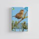Knyga  "RSPB Guide to Birdsong"