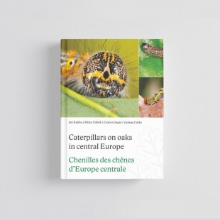 Knyga "Caterpillars on Oaks in Central Europe“