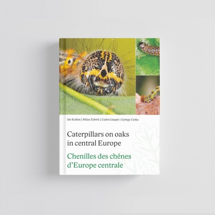 Knyga "Caterpillars on Oaks in Central Europe“
