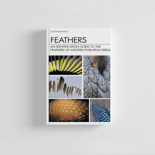 Knyga  "Feathers: An Identification Guide to the Feathers of Western European Birds"