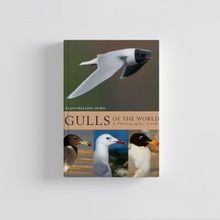 Knyga  "Gulls of the World: A Photographic Guide"
