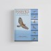 Knyga "Hawks at a Distance: Identification of Migrant Raptors" 