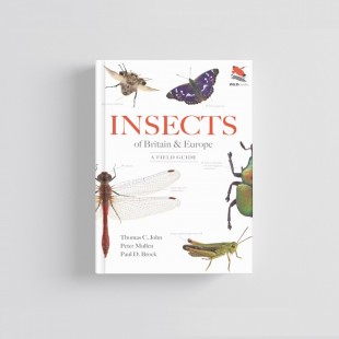 Knyga "Insects of Britain and Europe: A Field Guide"