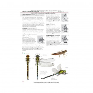 Knyga "Insects of Britain and Europe: A Field Guide"