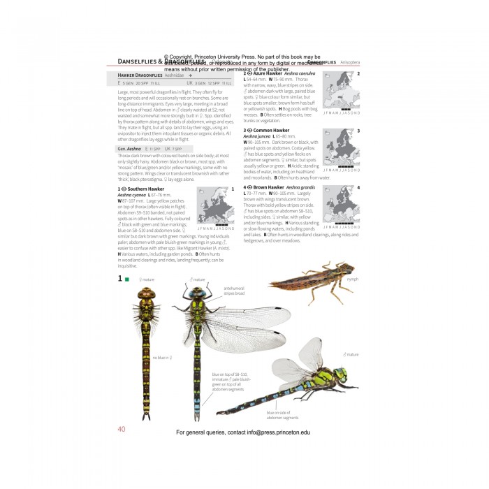 Knyga "Insects of Britain and Europe: A Field Guide"