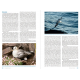 Knyga  "Seabirds Count" A census of breeding seabirds in Britain and Ireland (2015–2021)