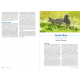Knyga  "Seabirds Count" A census of breeding seabirds in Britain and Ireland (2015–2021)