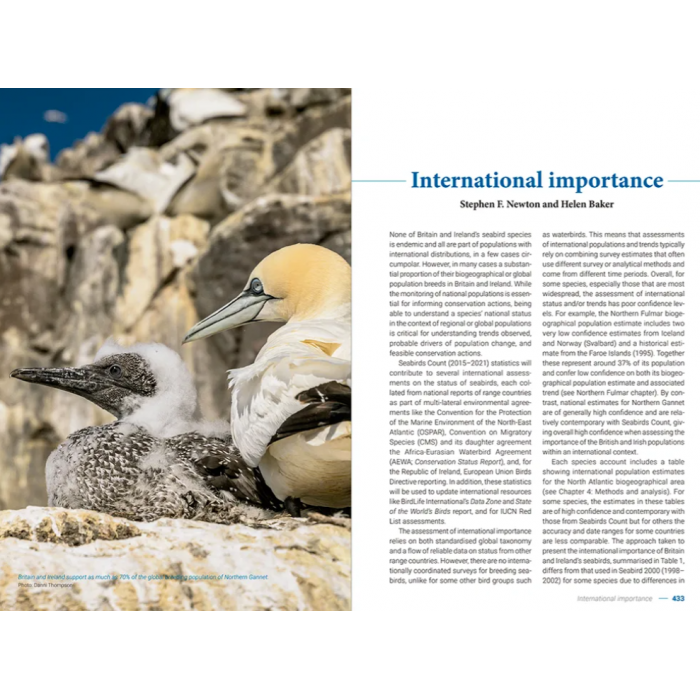 Knyga  "Seabirds Count" A census of breeding seabirds in Britain and Ireland (2015–2021)