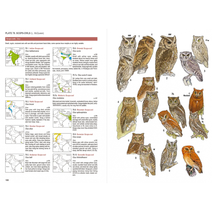 Knyga  "Birds of South Asia" Pamela C. Rasmussen, John C. Anderton