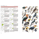 Knyga  "Birds of South Asia" Pamela C. Rasmussen, John C. Anderton