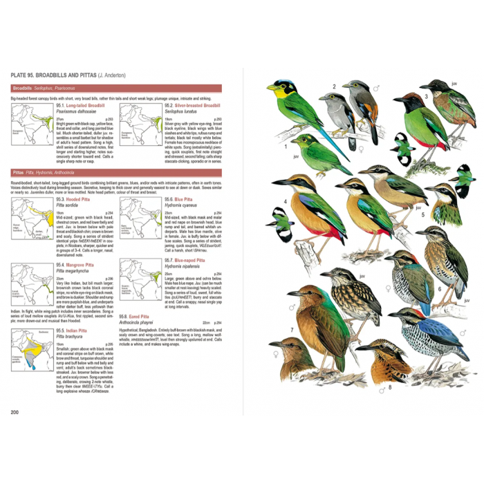 Knyga  "Birds of South Asia" Pamela C. Rasmussen, John C. Anderton