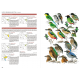 Knyga  "Birds of South Asia" Pamela C. Rasmussen, John C. Anderton