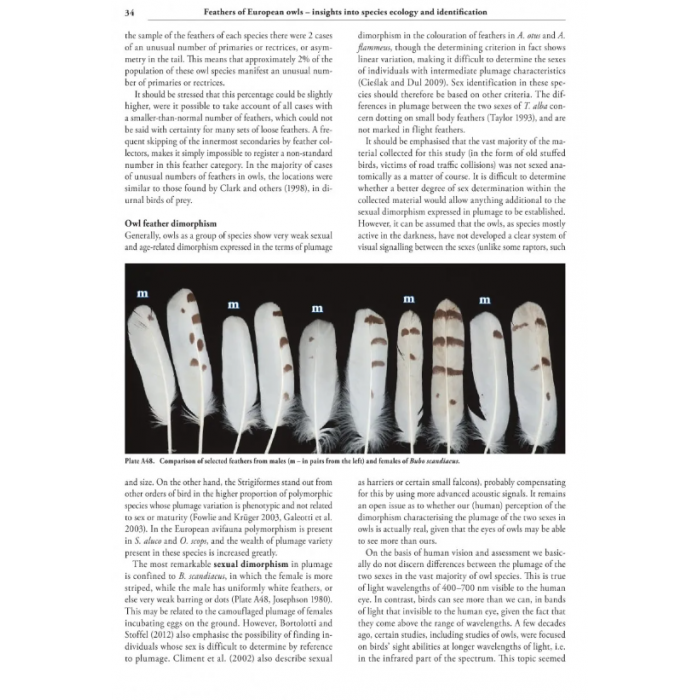 Knyga  "Feathers of European Owls Insights into Species Ecology and Identification"