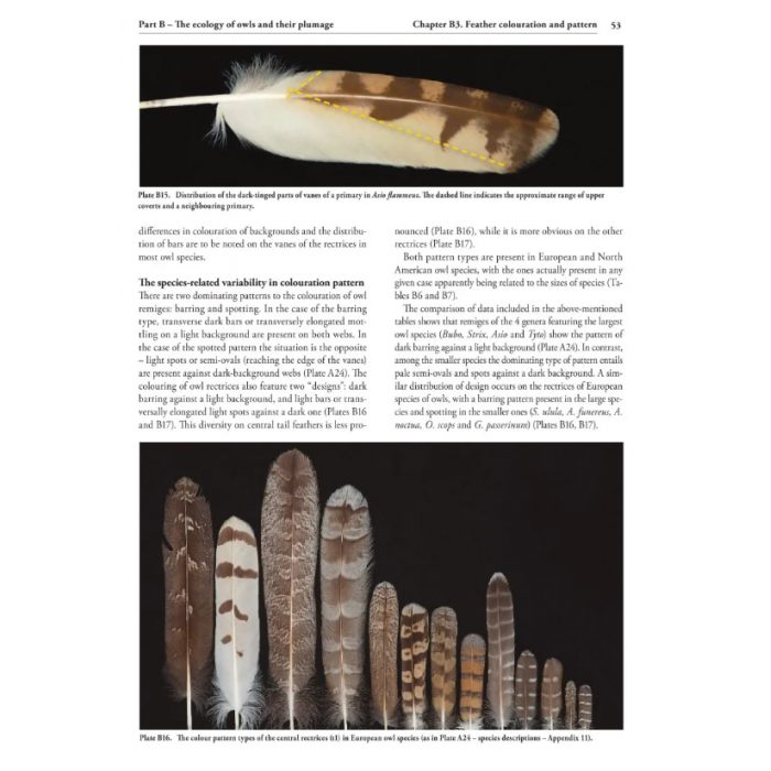 Knyga  "Feathers of European Owls Insights into Species Ecology and Identification"