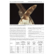 Knyga  "Feathers of European Owls Insights into Species Ecology and Identification"
