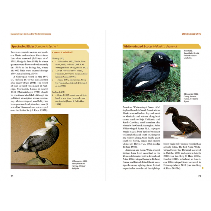 Knyga  "Extremely Rare Birds in the Western Palearctic"