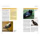 Knyga  "Extremely Rare Birds in the Western Palearctic"