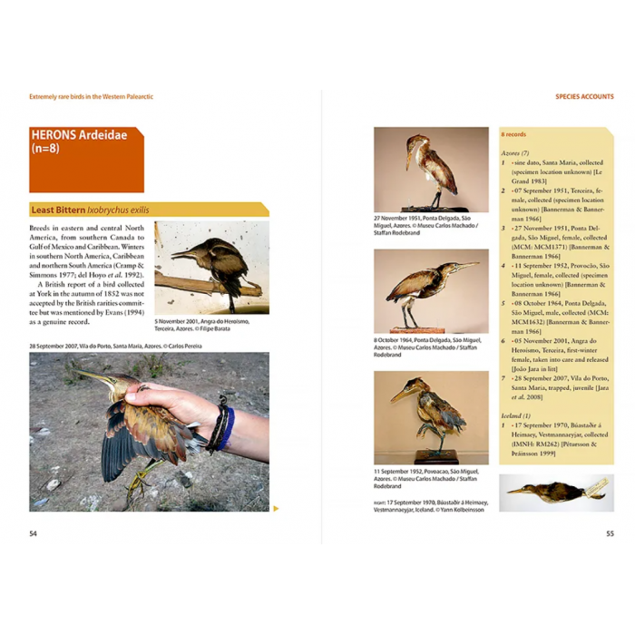 Knyga  "Extremely Rare Birds in the Western Palearctic"