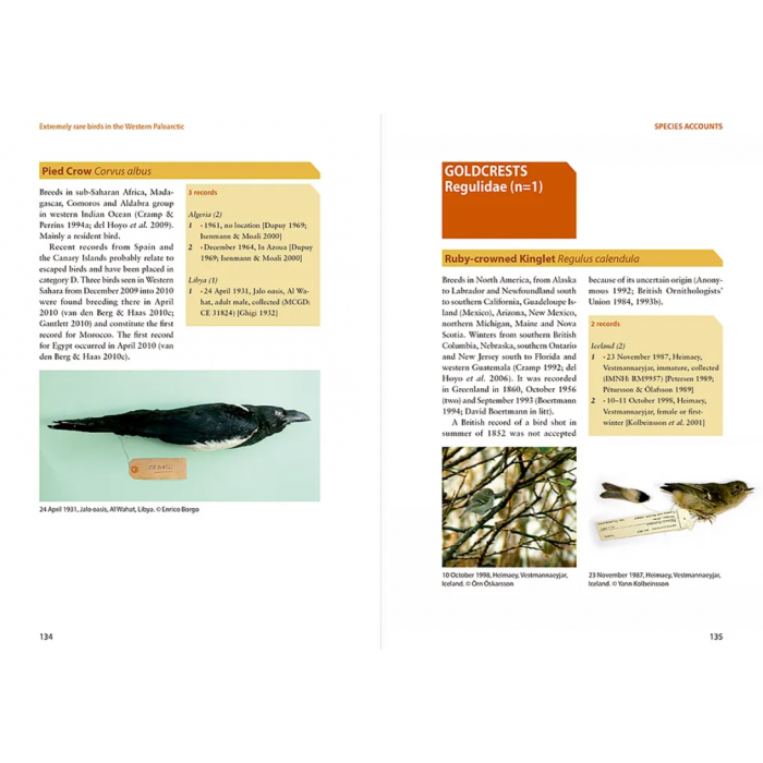 Knyga  "Extremely Rare Birds in the Western Palearctic"