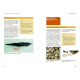 Knyga  "Extremely Rare Birds in the Western Palearctic"