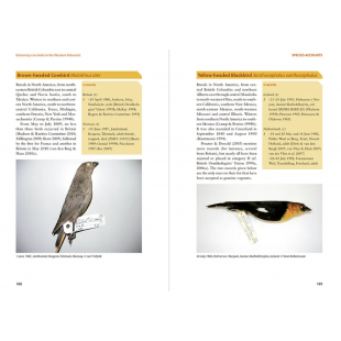 Knyga  "Extremely Rare Birds in the Western Palearctic"