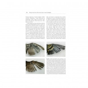 Knyga "The biology of MOULT IN BIRDS"