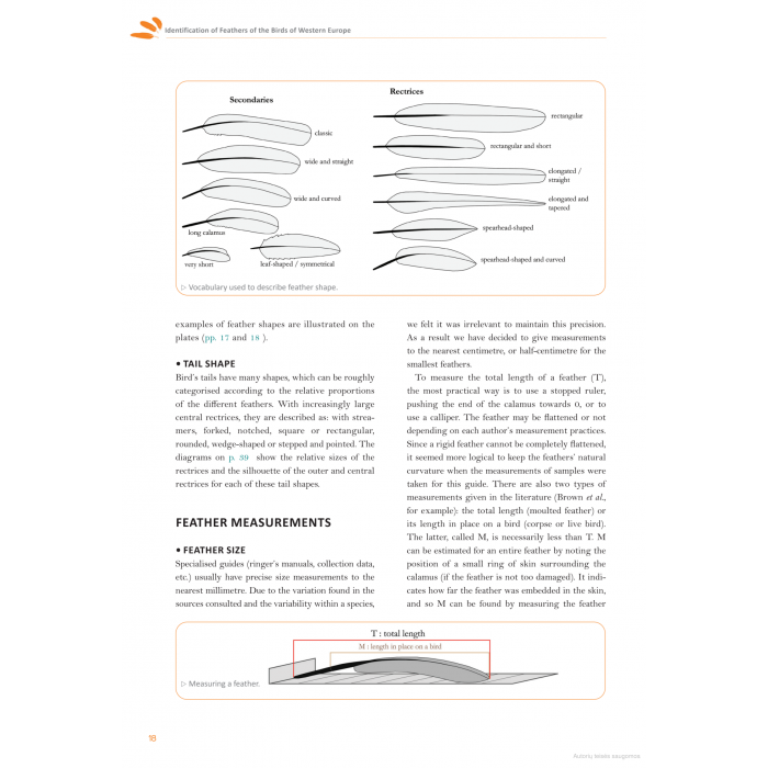 Knyga  "Feathers: An Identification Guide to the Feathers of Western European Birds"