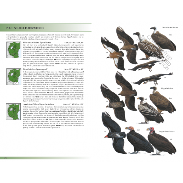 Knyga  "Birds of East Africa: Kenya, Tanzania, Uganda, Rwanda, Burundi" Princeton guide