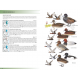 Knyga  "Birds of East Africa: Kenya, Tanzania, Uganda, Rwanda, Burundi" Princeton guide