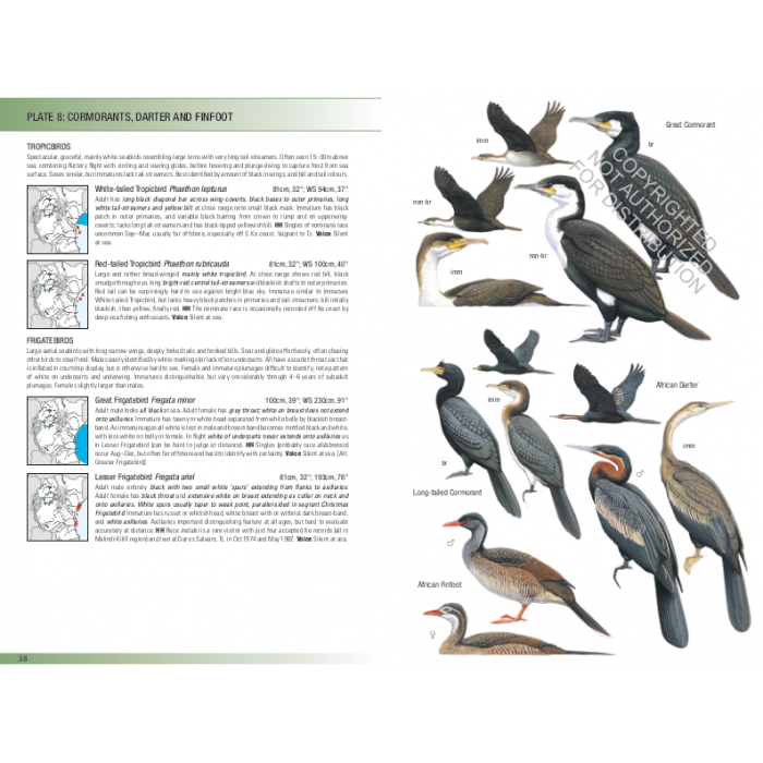 Knyga  "Birds of East Africa: Kenya, Tanzania, Uganda, Rwanda, Burundi" Princeton guide