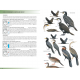 Knyga  "Birds of East Africa: Kenya, Tanzania, Uganda, Rwanda, Burundi" Princeton guide