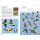 Knyga  "Flight Identification of European Passerines and Select Landbirds: An Illustrated and Photographic Guide"