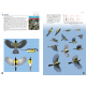 Knyga  "Flight Identification of European Passerines and Select Landbirds: An Illustrated and Photographic Guide"