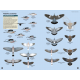 Knyga  "Flight Identification of European Passerines and Select Landbirds: An Illustrated and Photographic Guide"
