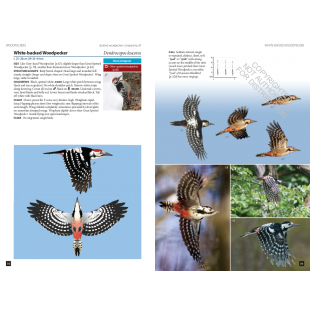 Knyga  "Flight Identification of European Passerines and Select Landbirds: An Illustrated and Photographic Guide"