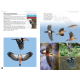 Knyga  "Flight Identification of European Passerines and Select Landbirds: An Illustrated and Photographic Guide"