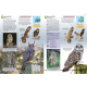 Knyga  "Europe's Birds: An Identification Guide"