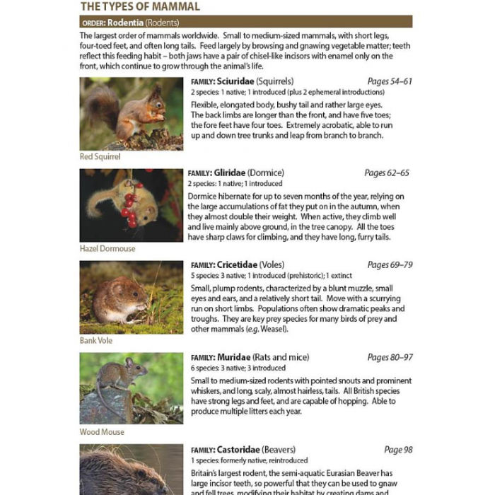 Knyga  "Britain's Mammals Updated Edition: A Field Guide to the Mammals of Great Britain and Ireland"