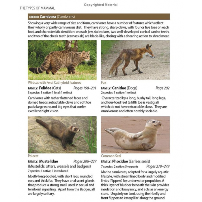 Knyga  "Britain's Mammals Updated Edition: A Field Guide to the Mammals of Great Britain and Ireland"