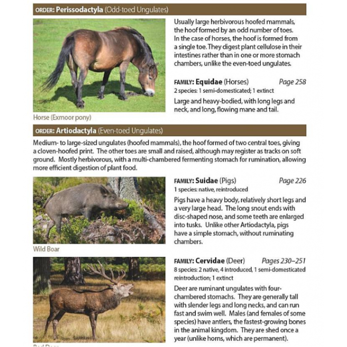 Knyga  "Britain's Mammals Updated Edition: A Field Guide to the Mammals of Great Britain and Ireland"