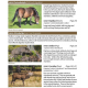 Knyga  "Britain's Mammals Updated Edition: A Field Guide to the Mammals of Great Britain and Ireland"
